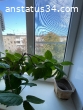 Обороны 53, 4 этаж, балкон