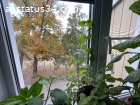 Обороны 55, 2 этаж, балкон
